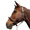 Licol corde CANTER - boucles blanches