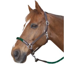 Licol corde CANTER - boucles blanches