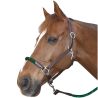 Licol corde CANTER - boucles blanches