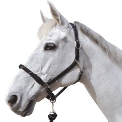 Licol corde CANTER - boucles blanches