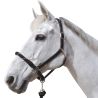 Licol corde CANTER - boucles blanches