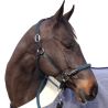 Licol corde CANTER - boucles blanches