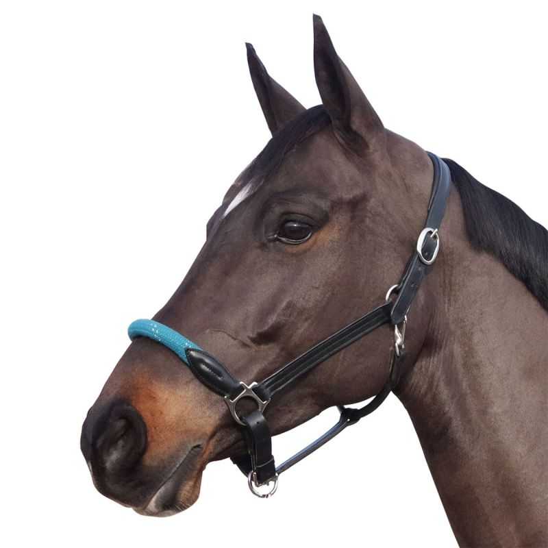 Licol corde CANTER - boucles blanches Licol corde CANTER - boucles blanches