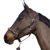 Licol corde CANTER - boucles blanches