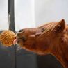Boule de stable Likit Granola