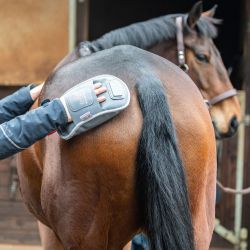 Gant de massage chauffant Equilibrium