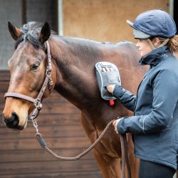 Gant de massage chauffant Equilibrium