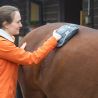 Gant de massage chauffant Equilibrium