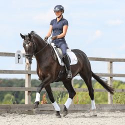 Guêtres de travail Stretch & Flex Equilibrium