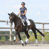 Guêtres de travail Stretch & Flex Equilibrium