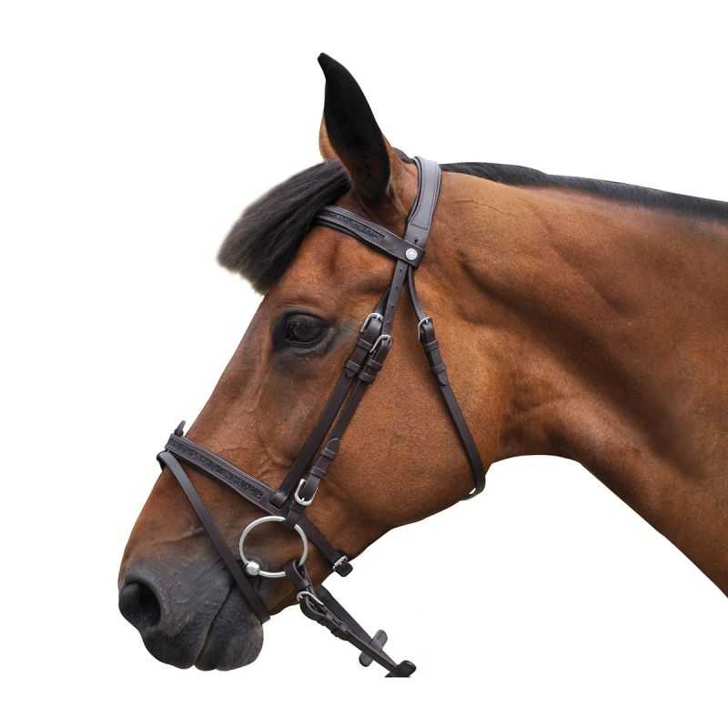 Bridon Canter Black strass