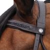 Bridon Canter Black strass