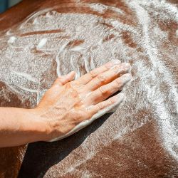 Shampoing Emouchine Protec Ravene