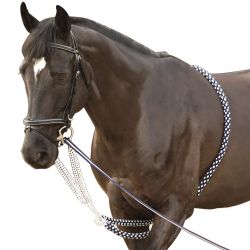 Enrênement Soft Rope Canter