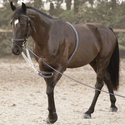 Enrênement Soft Rope Canter