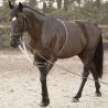Enrênement Soft Rope Canter