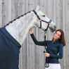Licol Double Pin Glossy Platinium été 2024 Eskadron