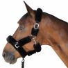 Licol de transport Canter