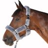 Licol de transport Canter