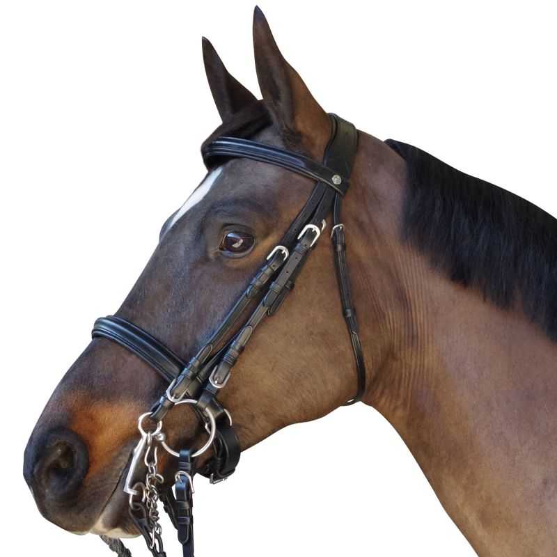 Bride pull-back Euro CANTER Bride pull-back Euro CANTER