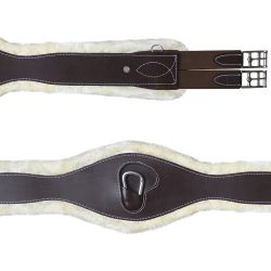 Sangle anatomique mouton CANTER
