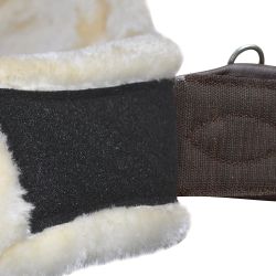 Sangle anatomique mouton CANTER