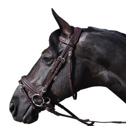 Bridon Hickstead Flags&Cup