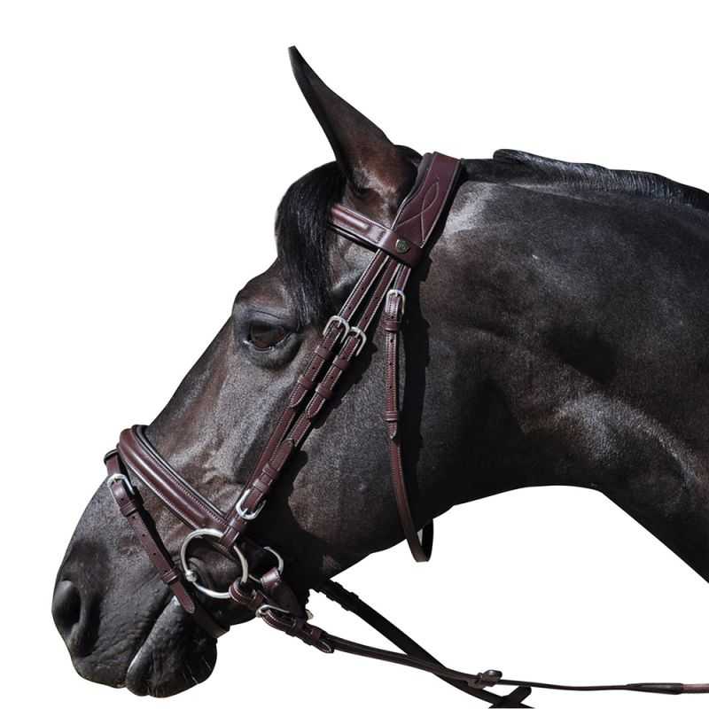Bridon Hickstead Flags&Cup Bridon Hickstead Flags&Cup