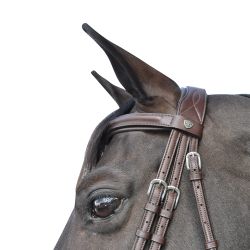 Bridon Hickstead Flags&Cup