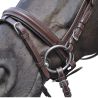 Bridon Hickstead Flags&Cup