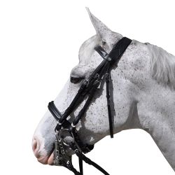 Bride pull-back Hagen Flags&Cup 
