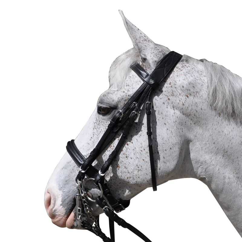 Bride pull-back Hagen Flags&Cup Bride pull-back Hagen Flags&Cup