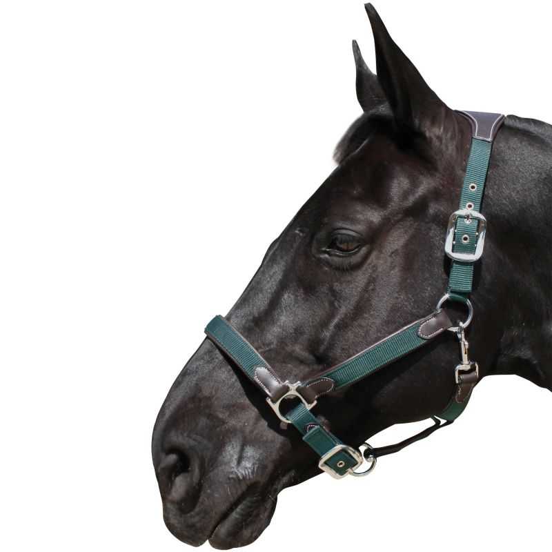Licol Polo Waldhausen - Licol cheval - Waldhausen - Le Paturon