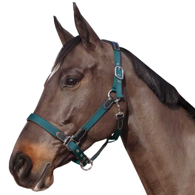 Licol en nylon - RANCH-X Pour le cheval - Equitation