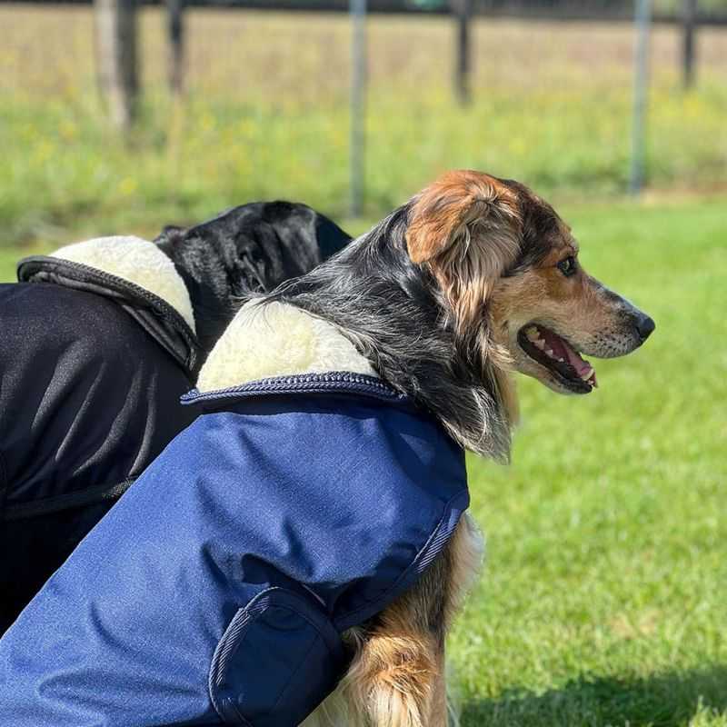 Couverture pour chien Jamsa Flags & Cup Couverture pour chien Jamsa Flags & Cup