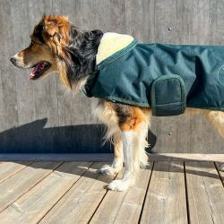 Couverture pour chien Jamsa Flags & Cup