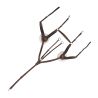 Collier de chasse 5 points Canter