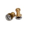 Bouton de gogue Canter