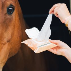 Lingettes Easy Shine Ravene
