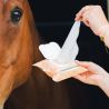 Lingettes Easy Shine Ravene