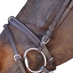 Bridon plat doublé Canter