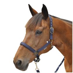 Licol nylon doublé Canter