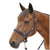 Licol nylon doublé Canter