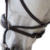 Bridon Bitless Evolution Canter