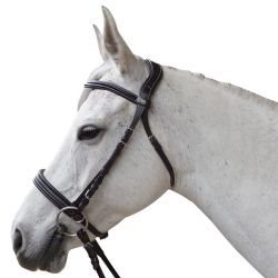 Bridon Bitless Evolution Canter