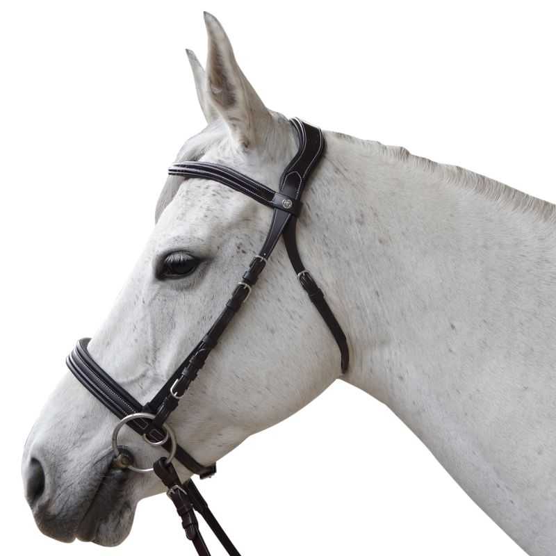 Bridon Bitless Evolution Canter