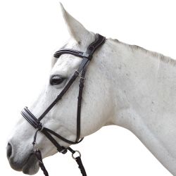Bridon Bitless Evolution Canter