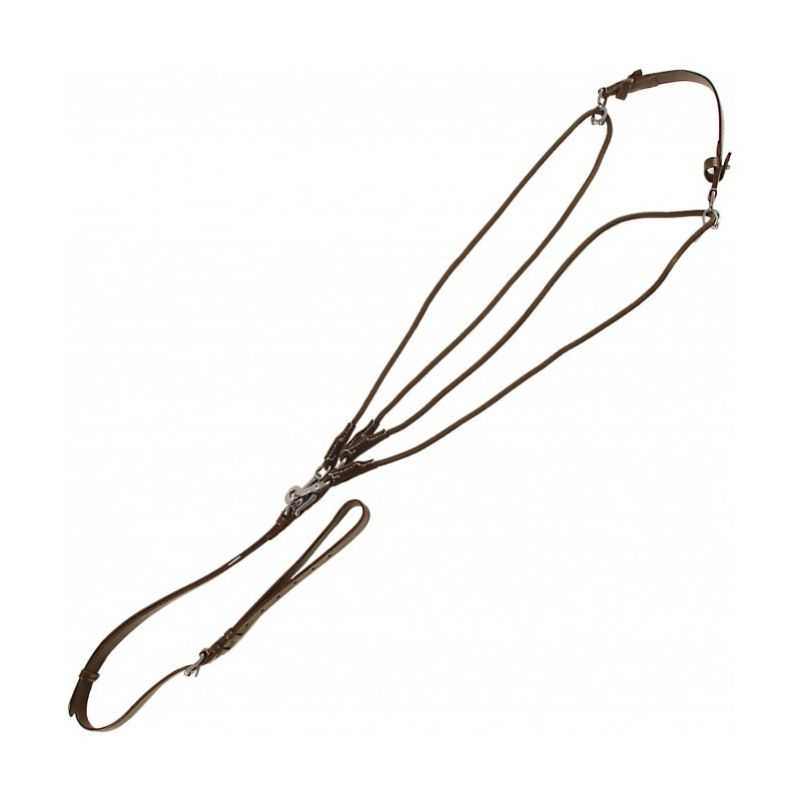 Gogue Standard CANTER Gogue Standard CANTER