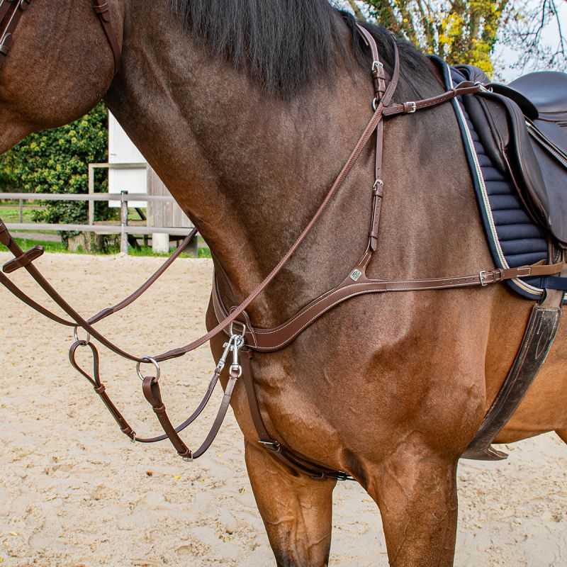 Collier 5 PTS Stationata Collier 5 PTS Stationata