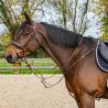 Collier de chasse 3 points Stationata